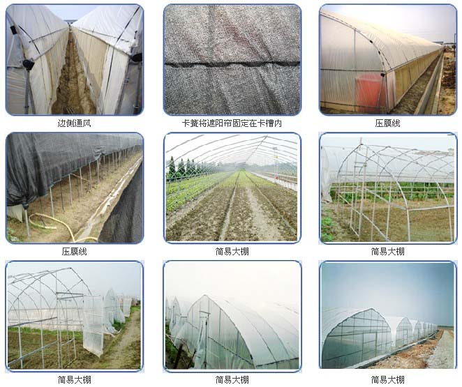固定大棚薄膜，簡易大棚安裝完成