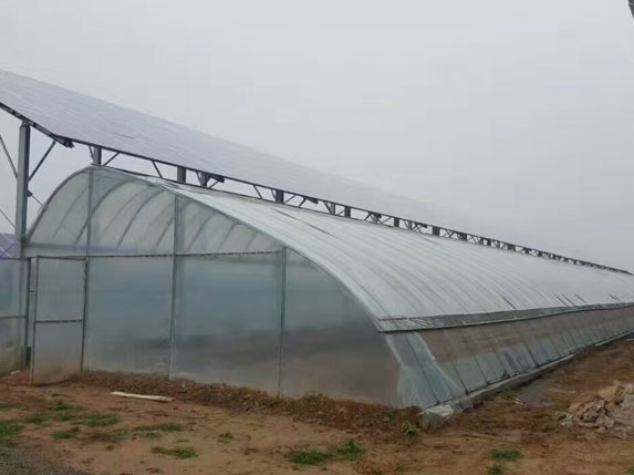 橢圓管光伏大棚圖片