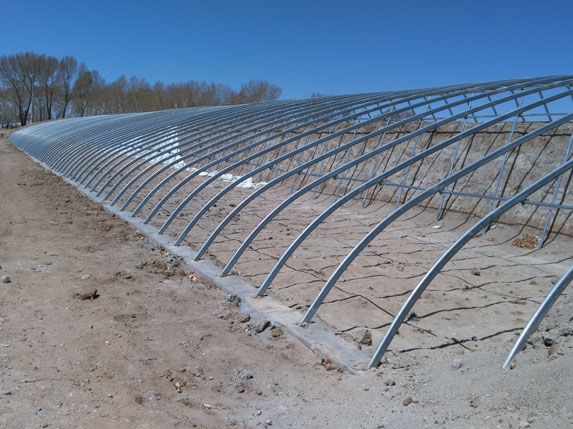 橢圓管大棚棚內寬度9.5米