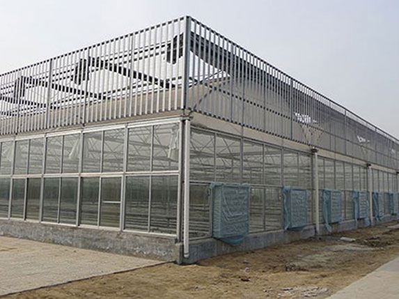 圓拱形陽光板連棟溫室大棚