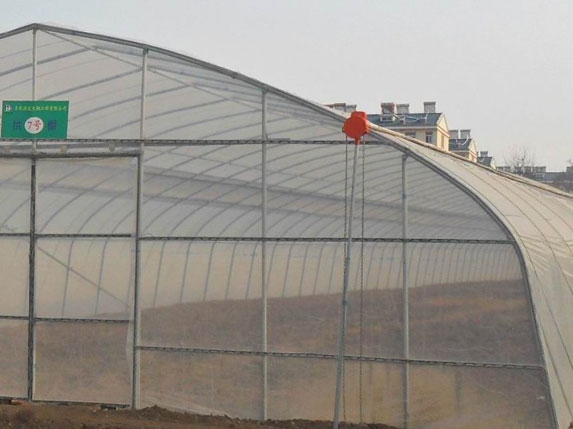 拱形薄膜溫室大棚圖片