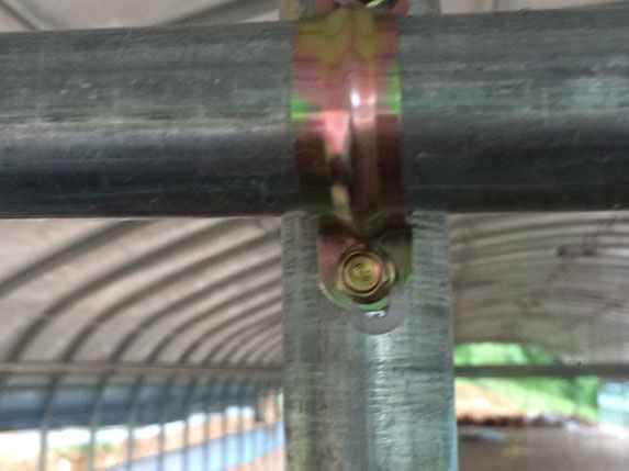 2016新式蛋雞養殖大棚