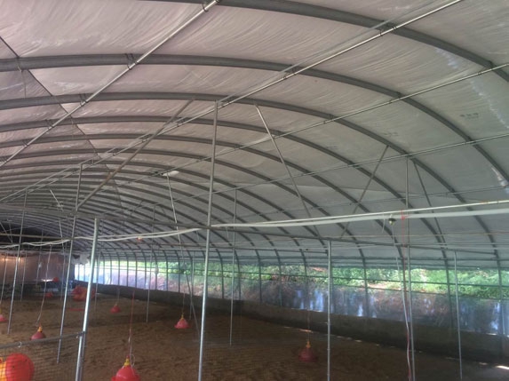 2016新式蛋雞養殖大棚高清圖片2