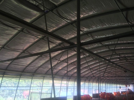 新式養雞大棚圖片