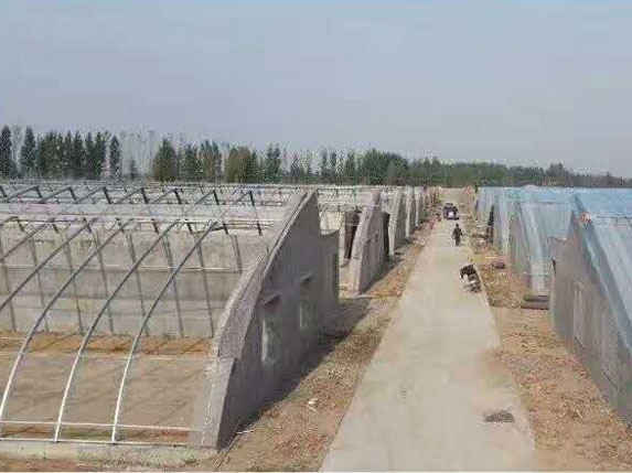 帶后墻溫室大棚圖片