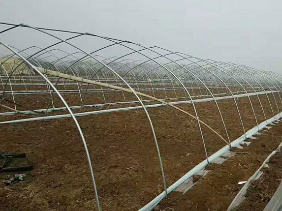 6米管簡體大棚（6分大棚管）圖片