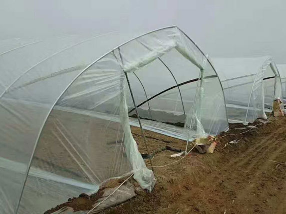 6米管簡體大棚（6分大棚管）圖片2