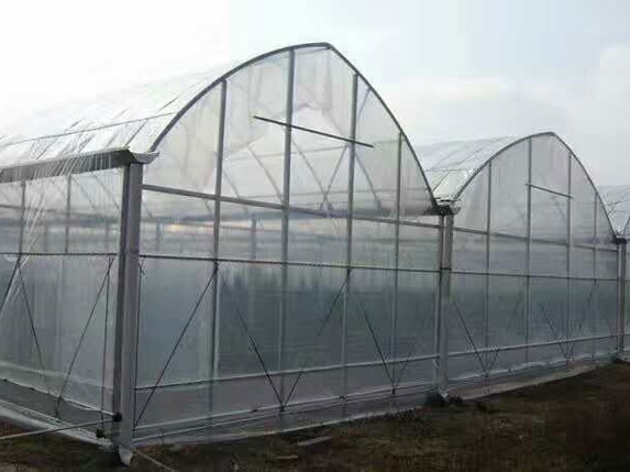 薄膜連棟大棚圖片