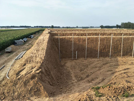 暖棚斜坡圖片 暖棚斜坡圖片