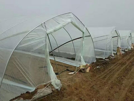 簡易大棚高清圖片 簡易大棚高清圖片