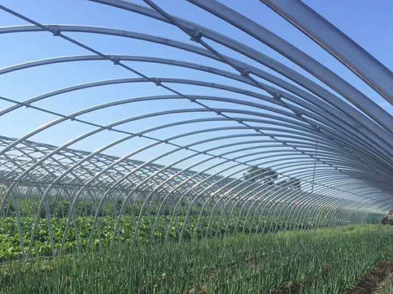 橢圓大棚管實際安裝效果圖