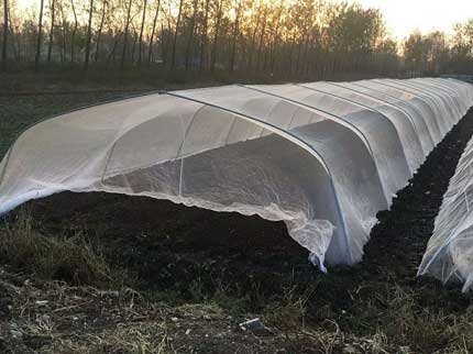 簡易拱棚大棚圖片 簡易拱棚大棚圖片