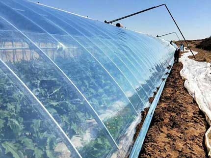 橢圓管大棚圖片 橢圓管大棚圖片