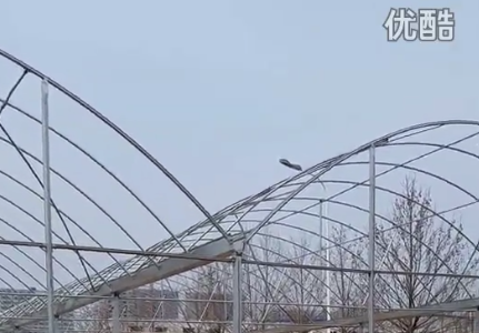 簡易連棟大棚高清視頻拍攝