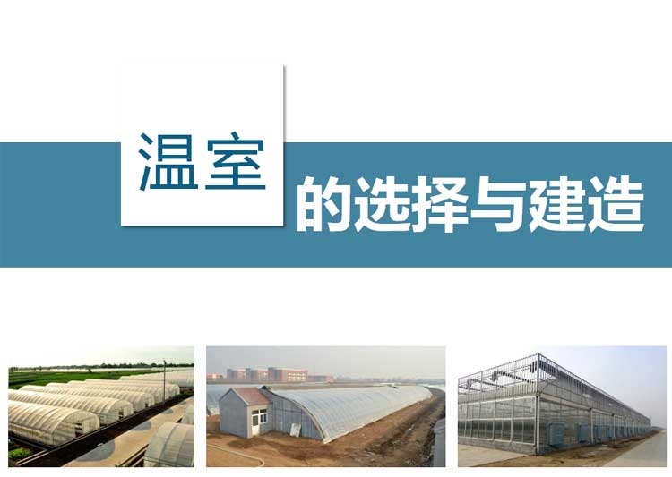 溫室大棚的選擇分類圖片