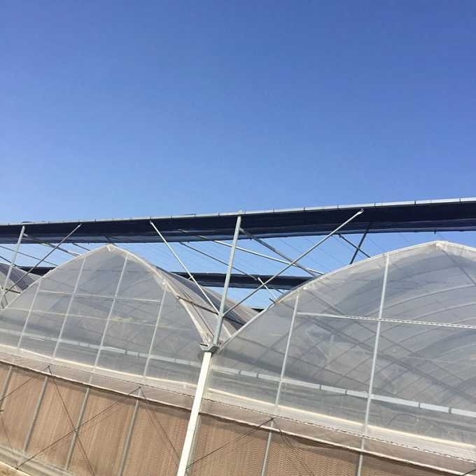 溫室大棚鋼管圖片 溫室大棚鋼管圖片