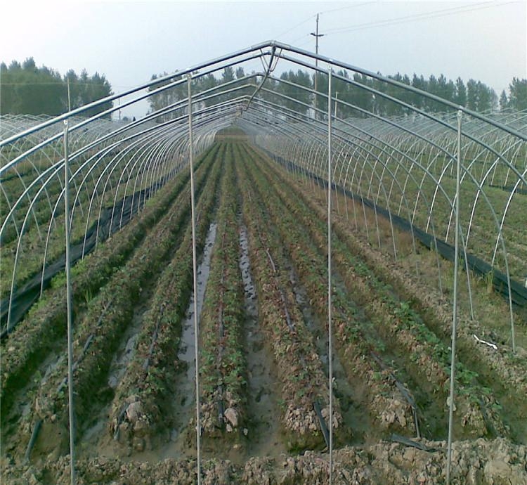 溫室大棚鋼管圖片