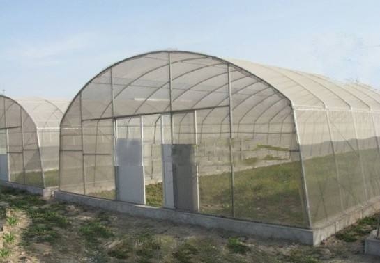 溫室大棚圖片 溫室大棚圖片